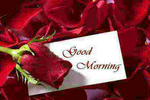 100 Epic Best Good Morning Picture Sms In Hindi Naturesimagesart